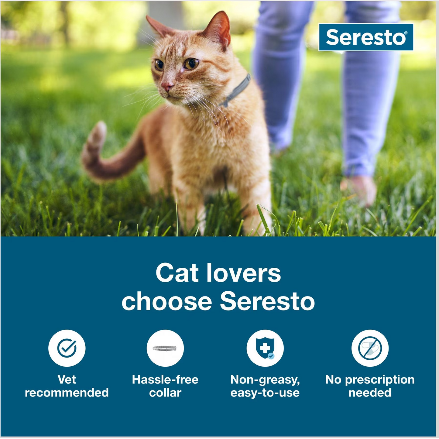 Seresto Flea & Tick Collar for Cats, 1 Collar (8-mos. supply)